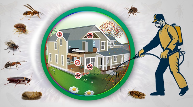 Darıca Böcek İlaçlama